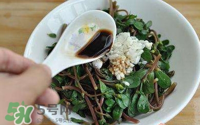 螞蚱菜對人體有哪些好處？螞蚱菜不能和什么一起吃