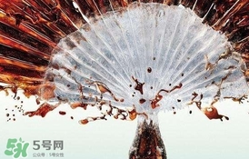 運動后可以喝可樂嗎？運動后喝可樂會胖嗎？