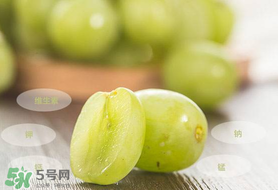 青提怎么保存？青提可以放冰箱嗎？