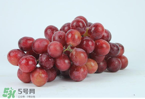 紅提多少錢(qián)一斤？紅提子多少錢(qián)一斤？