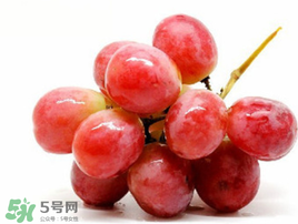 紅提可以放冰箱嗎？紅提放冷庫怎么保存？