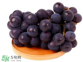 巨峰葡萄幾月份成熟？巨峰葡萄什么時(shí)候成熟？