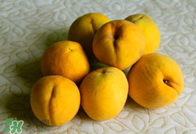 黃桃一天可以吃幾個(gè)？黃桃能多吃嗎？