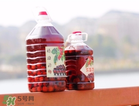 楊梅酒一次喝多少？楊梅酒喝多了會怎樣？