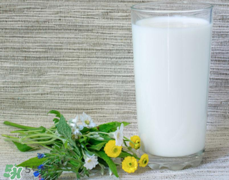 脫脂奶粉哪個(gè)牌子好？脫脂奶粉什么品牌的好？