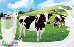 脫脂奶粉什么時(shí)候喝最好？脫脂奶粉什么時(shí)候喝？
