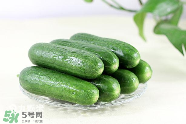 水果黃瓜常溫能放多久？水果黃瓜怎么保存？