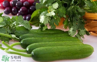 水果黃瓜是轉(zhuǎn)基因嗎？水果黃瓜的功效和作用