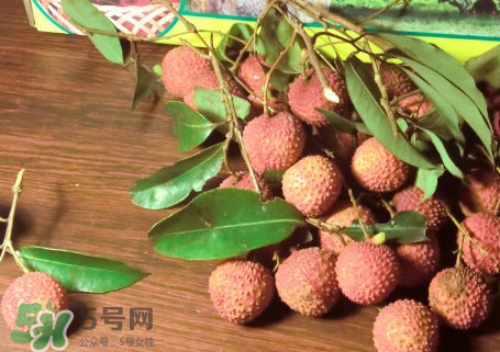 增城掛綠荔枝最貴多少錢？掛綠荔枝和普通荔枝有什么區(qū)別