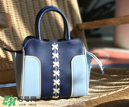 tod's與包先生聯(lián)名合作款折耳包包尺寸多大？