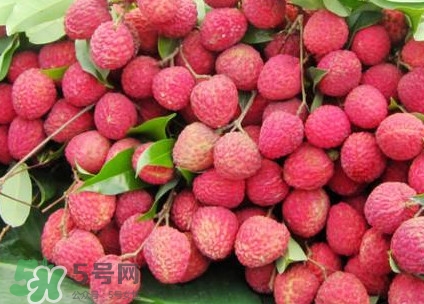 增城荔枝節(jié)是什么時候？2017年增城荔枝節(jié)時間