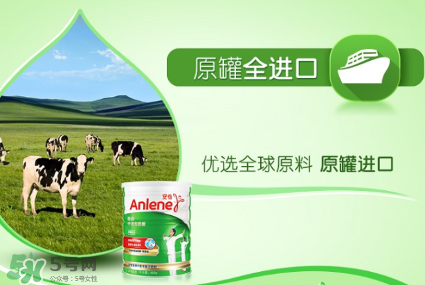 Anlene安怡奶粉怎么樣？Anlene安怡奶粉好不好？
