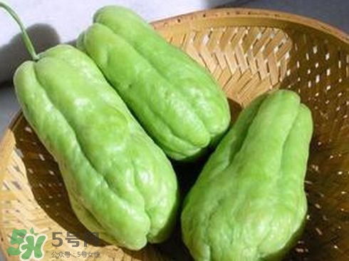 佛手瓜發(fā)芽了可以吃嗎？佛手瓜怎么吃？