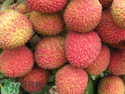 增城和從化荔枝哪個(gè)出名？哪種荔枝最有名