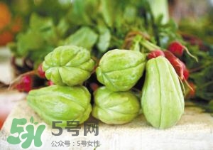 佛手瓜孕婦可以吃嗎？佛手瓜與什么食物相克