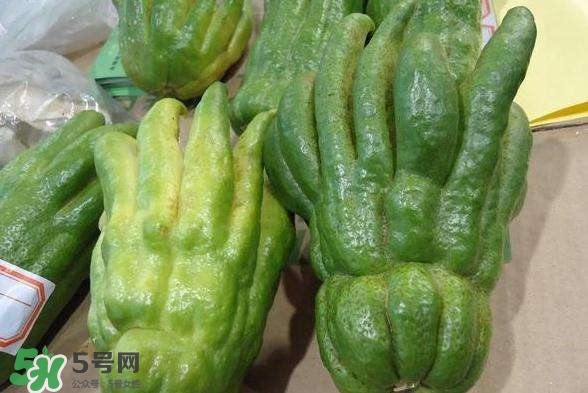 佛手與佛手瓜有什么區(qū)別？佛手與佛手鉗有什么區(qū)別