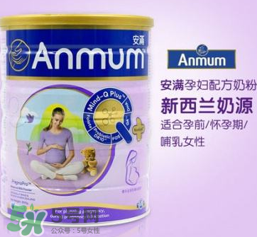 安滿和惠氏孕婦奶粉哪個好？安滿和惠氏孕婦奶粉的區(qū)別