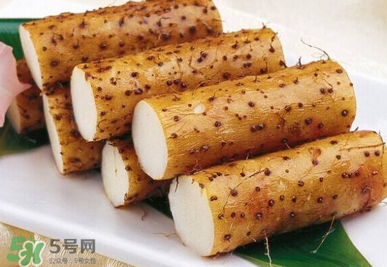 懷山藥是生山藥嗎？懷山藥是鐵棍山藥嗎