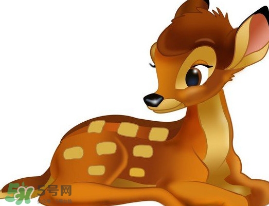 斑比跪是什么意思？斑比跪是什么坐勢