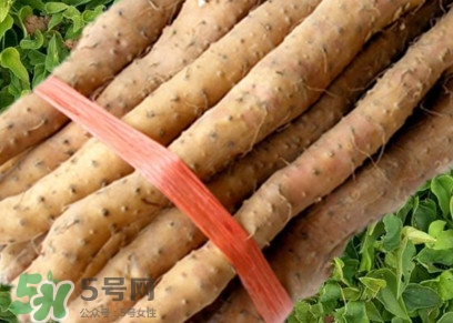 懷山藥可以生吃嗎？懷山藥怎么吃最好