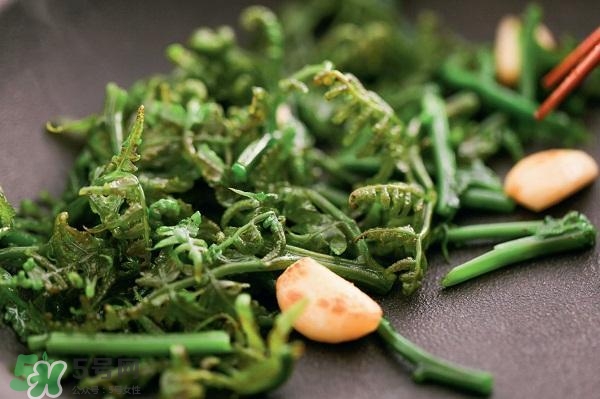 龍須菜怎么清洗？龍須菜怎么處理？