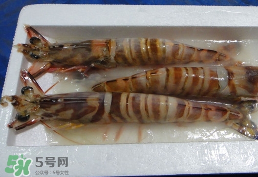 竹節(jié)蝦該怎么吃？竹節(jié)蝦怎么處理干凈