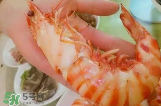 九節(jié)蝦是海蝦嗎？九節(jié)蝦是海蝦還是河蝦