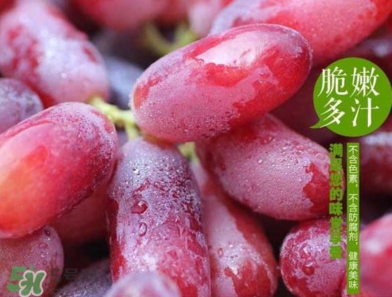 無籽紅提有涂避孕藥嗎？無籽紅提是轉(zhuǎn)基因嗎？