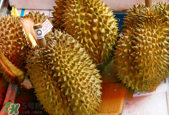 托曼尼榴蓮怎么才是熟？托曼尼榴蓮怎么看生熟？