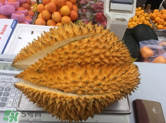 托曼尼榴蓮怎么才是熟？托曼尼榴蓮怎么看生熟？