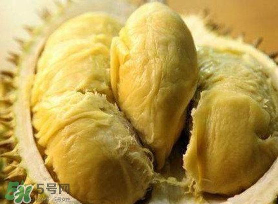 托曼尼榴蓮多少錢？托曼尼榴蓮是哪里的？