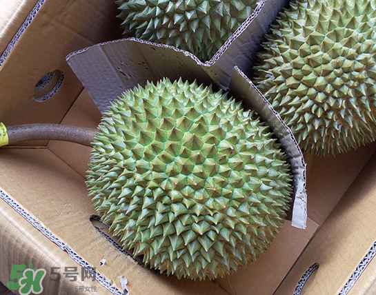 干堯榴蓮怎么樣算熟了？干堯榴蓮怎么挑選？