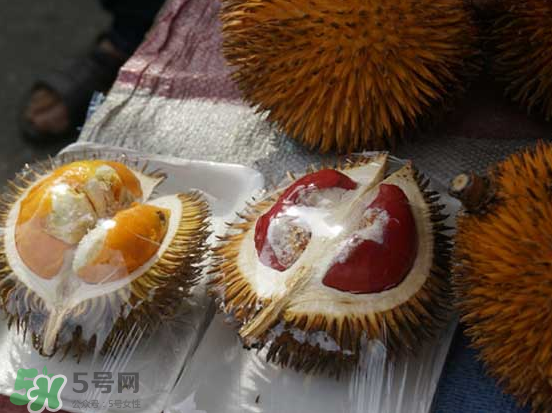 榴蓮核可以煲湯嗎？榴蓮核可以煲雞湯嗎？