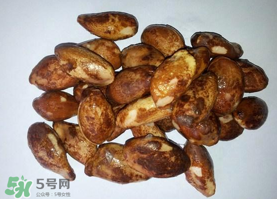 榴蓮核可以煲湯嗎？榴蓮核可以煲雞湯嗎？