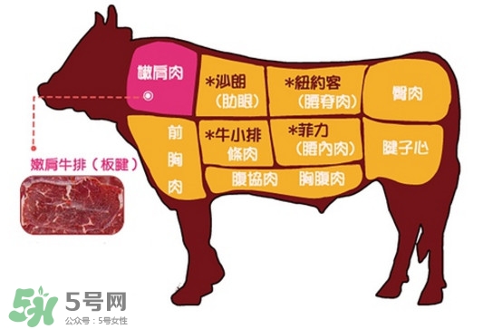 牛排是牛的哪個部位？牛排是牛身上哪塊肉？