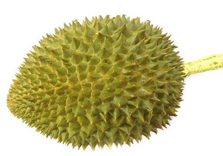 托曼尼榴蓮多少錢？托曼尼榴蓮是哪里的？