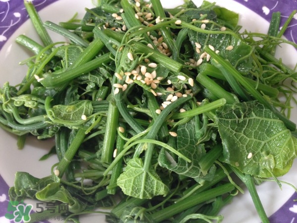 龍須菜怎么清洗？龍須菜怎么處理？