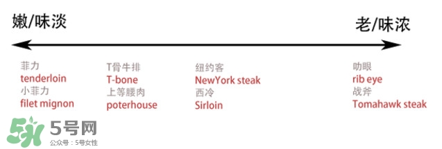 牛排是牛的哪個部位？牛排是牛身上哪塊肉？