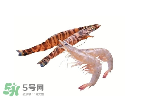如何區(qū)分基圍蝦和竹節(jié)蝦？竹節(jié)蝦和基圍蝦的區(qū)別
