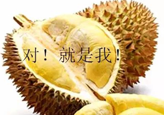 多大的小孩可以開始吃榴蓮？寶寶多大可以吃榴蓮？