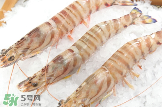 竹節(jié)蝦是海里的嗎？竹節(jié)蝦是海蝦還是河蝦