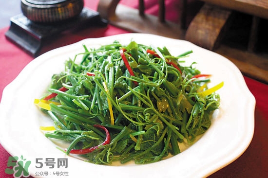 龍須菜是什么菜？龍須菜怎么吃？