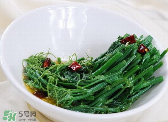 龍須菜是什么菜？龍須菜怎么吃？