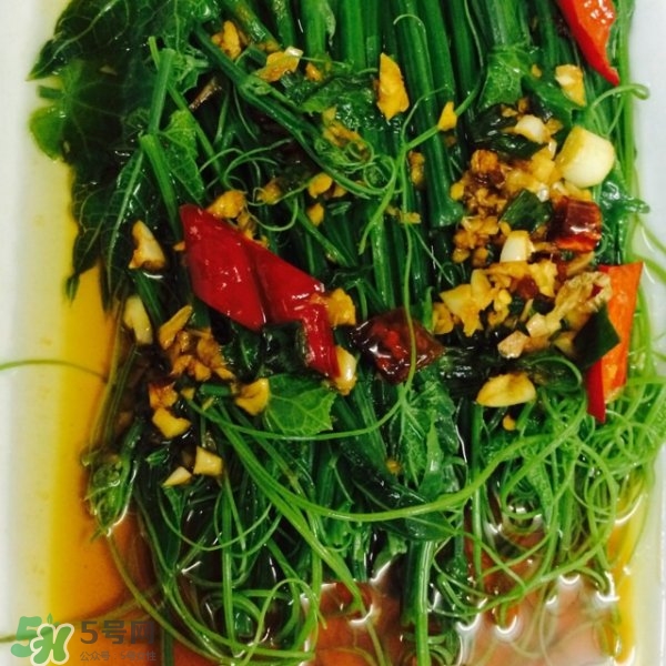 龍須菜怎么清洗？龍須菜怎么處理？