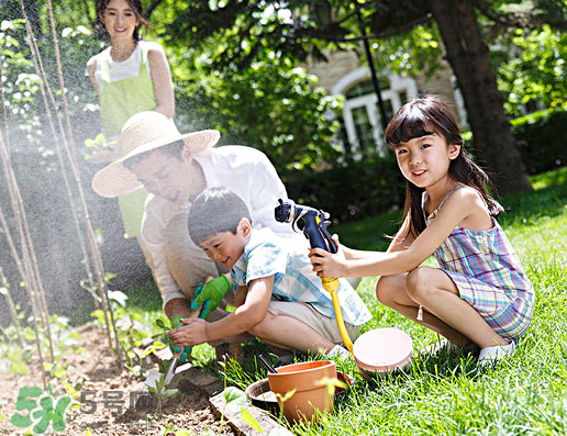 八月份可以種什么菜？八月份適合種植的蔬菜