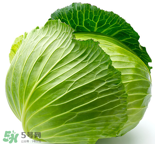 8月份吃什么蔬菜？八月份適合吃什么蔬菜？