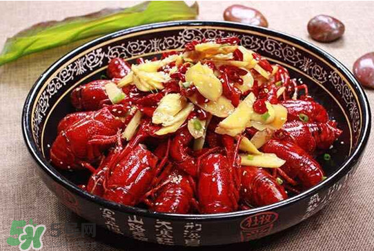 八月份還要小龍蝦？小龍蝦幾月份結束？