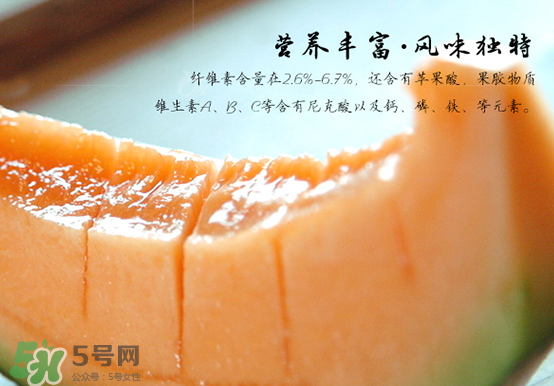 西州蜜瓜什么季節(jié)熟？西州蜜瓜幾月份成熟？
