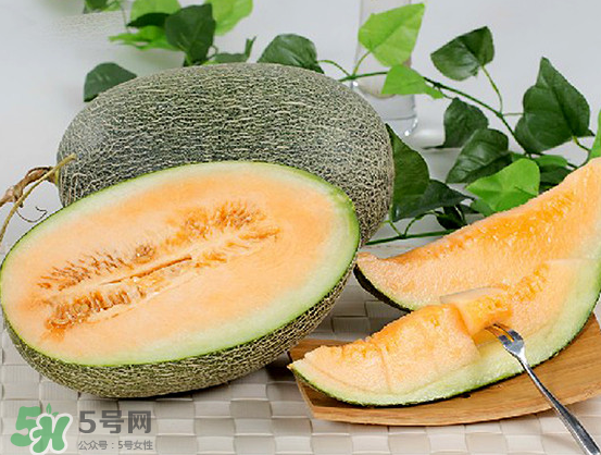 西州蜜瓜什么季節(jié)熟？西州蜜瓜幾月份成熟？