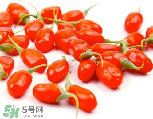 枸杞鮮果能吃嗎？鮮枸杞好還是干枸杞好